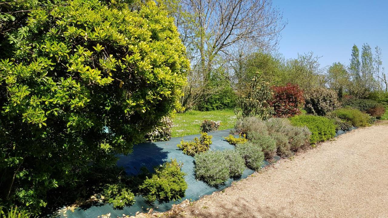 La Demeure Du Goupil Bed & Breakfast Brissac-Quince Luaran gambar